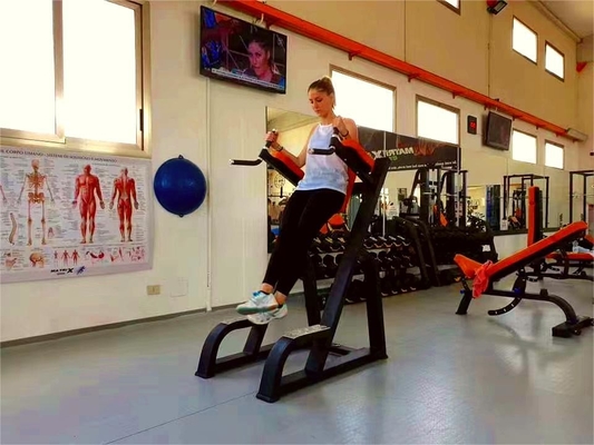 Strumentazione per allenatori di ginnastica per il bodybuilding definitivo