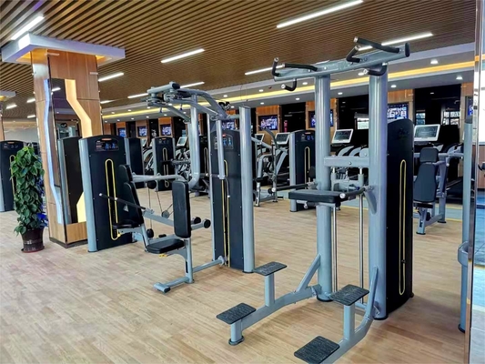 Attrezzature per palestra commerciale Pini caricati al petto Fly Pec Fly Machine per l'esercizio domestico commerciale
