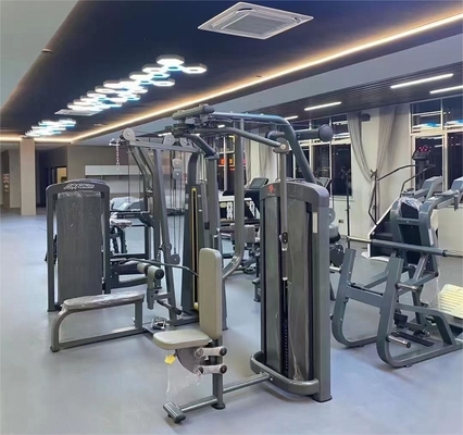 Commercial Fitness Gym Pin Loaded Pectoral Fly Machine per Delt Rear e Chest Fly