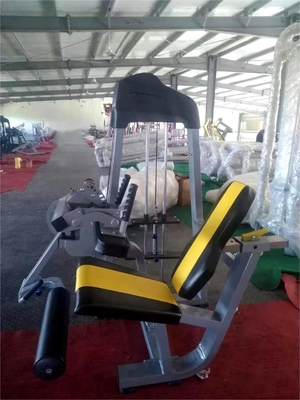 Universal Medium Loader Steel Sitting Leg Curl Machine per allenamento in palestra Selezione del carico pin