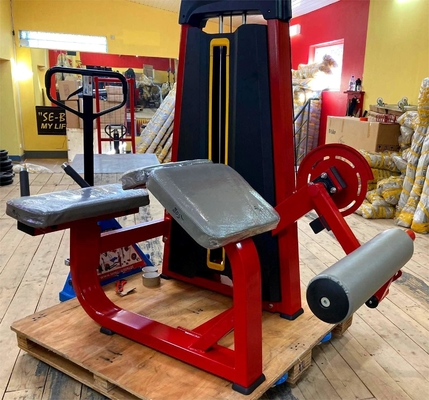 Equipaggiamento di allenamento per il bodybuilding