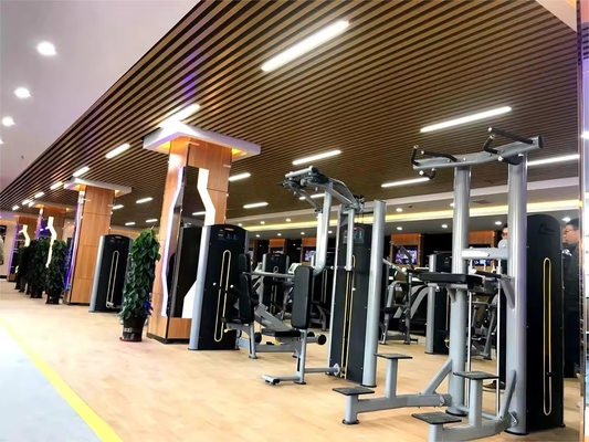 140 kg Acciaio Pini-caricato regolabile seduta Leg Estensione e Leg Prone Curl doppia funzione attrezzature per palestra Medio caricatore