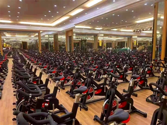 18 kg attrezzature per palestra Flywheel per allenamento cardiovascolare commerciale e rinforzo del corpo