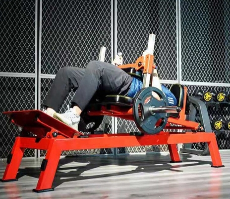 Bench di propulsione per l'anca regolabile con ponte di glute ponderato per universale nelle palestre commerciali