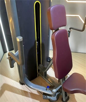 End Pin Load Selection Pectoral Fly Machine per allenamenti di palestra commerciale