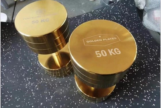 Prova la potenza dei nostri manubri cromatici per allenamento di forza da 2,5 kg a 100 kg