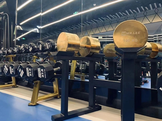 Prova la potenza dei nostri manubri cromatici per allenamento di forza da 2,5 kg a 100 kg