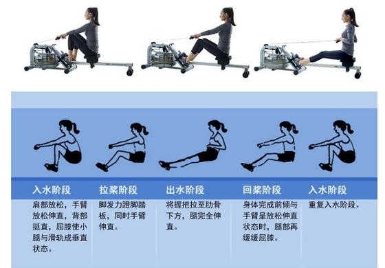 Unisex 35kg Indoor Folding Seated Air Rowing Machine La scelta migliore per gli allenamenti cardio