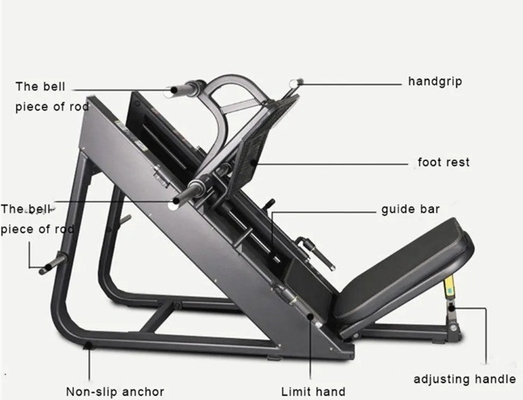 Leg Press Trainer per allenamento di forza palestra fitness 45 gradi piastra di peso caricata