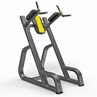 Attrezzature di ginnastica verticali con design personalizzato e materiale in acciaio