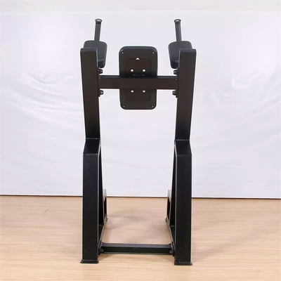 Attrezzature di ginnastica verticali con design personalizzato e materiale in acciaio