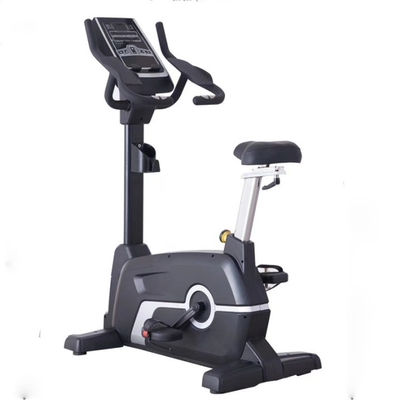 Cornice personalizzabile colore Befreeman Magnetico in posizione eretta Exercise Bike per Cardio Training