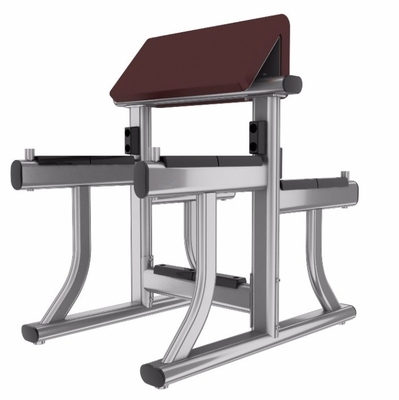 Bench curl arm in acciaio per bicipiti e attrezzature per ginnastica 1170*800*1080 mm