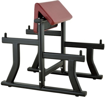 Bench curl arm in acciaio per bicipiti e attrezzature per ginnastica 1170*800*1080 mm