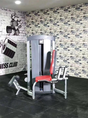 Macchina di estensione del polpaccio seduta per la formazione della funzione di bodybuilding e della forza muscolare