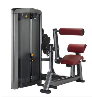 Diretto seduto back extension trainer per l' allenamento della forza muscolare Pin Selezione del carico