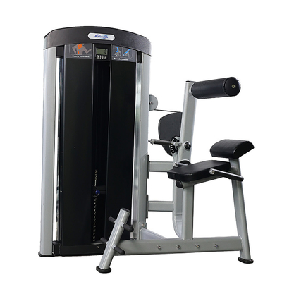 Diretto seduto back extension trainer per l' allenamento della forza muscolare Pin Selezione del carico