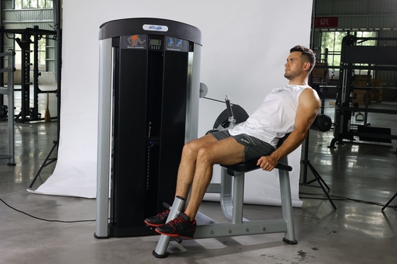 Diretto seduto back extension trainer per l' allenamento della forza muscolare Pin Selezione del carico