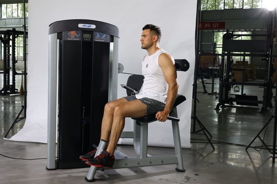 Diretto seduto back extension trainer per l' allenamento della forza muscolare Pin Selezione del carico
