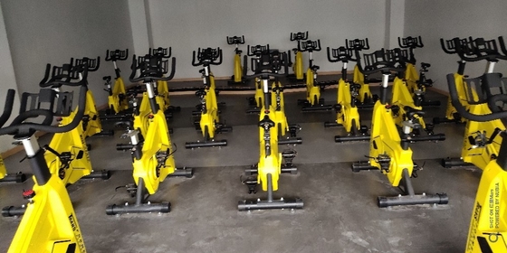 Freeman Fitness Equipment bici da ginnastica spinning commerciale in 1160*595*1220mm