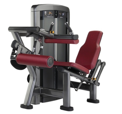 Acciaio Q235 Medium Loader Pin Selection Leg Curl Machine per allenamento di forza Bodybuilding