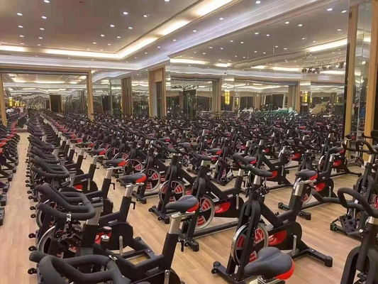 Equipaggiamento di fitness per la palestra in casa in acciaio