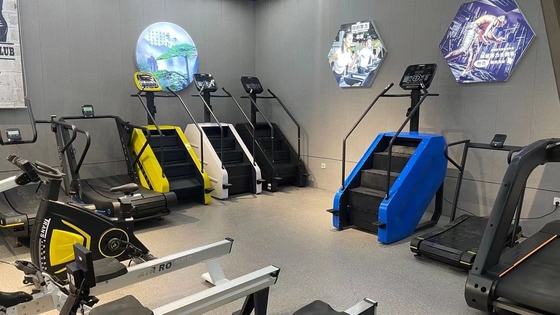 Costruzione del corpo Gimnastica Macchina Scalare Scalare Commerciale Master Stepper Esercizio