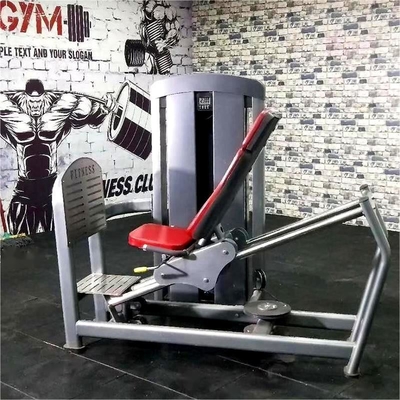 Apparecchiatura per la stampa delle gambe con pesi di selezione del carico a pin