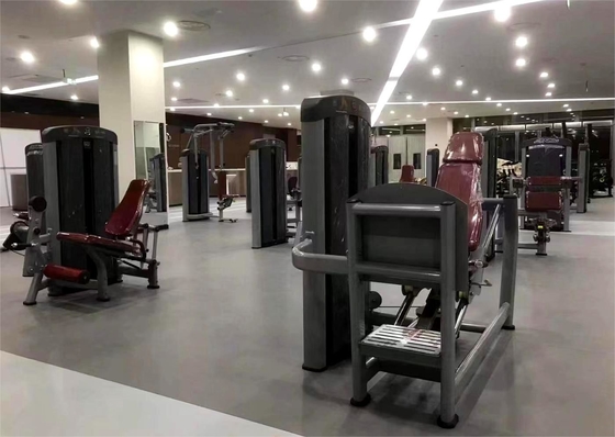 Apparecchiatura per la stampa delle gambe con pesi di selezione del carico a pin