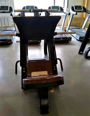 OEM personalizzazione minima Gym commerciale Invertito Pedal Machine Strength Leg Trainer in acciaio