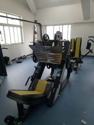 OEM personalizzazione minima Gym commerciale Invertito Pedal Machine Strength Leg Trainer in acciaio