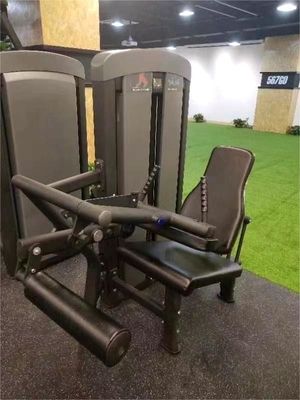 Macchine per le gambe e per l'estensione sedute