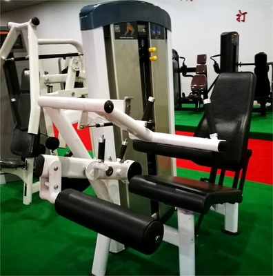 Macchine per le gambe e per l'estensione sedute