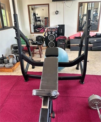 Befreeman Gym center Incline Bench Pin Load Selection Machines con 1450*1260*1420 mm
