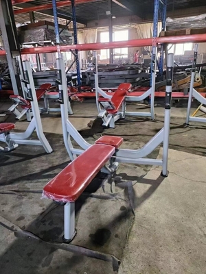 Disponibile un banco piatto in acciaio per il centro di ginnastica