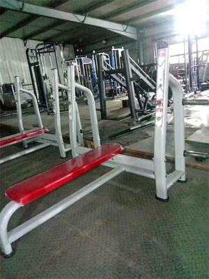 Disponibile un banco piatto in acciaio per il centro di ginnastica