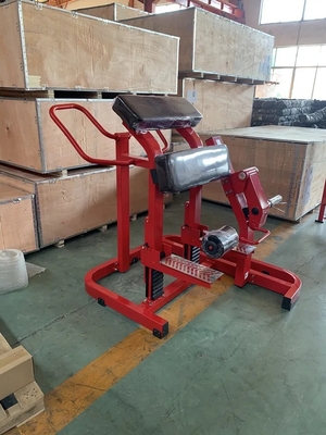 Macchine a piattaforma per la formazione della forza 1220*1050*1290