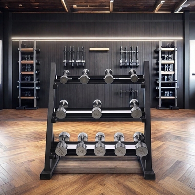 DIMETRIO 1230*460*120mm Scalatori per pesi liberi per fitness commerciale 3 livelli scalatori per manubri