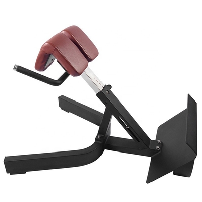 Allenamento della forza Multifunzionale Arm Curl Back Extension Bench Poltrona romana per unisex