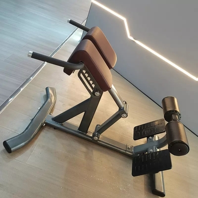 Allenamento della forza Multifunzionale Arm Curl Back Extension Bench Poltrona romana per unisex