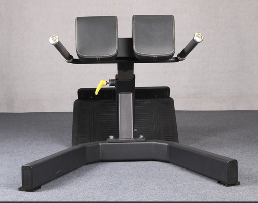 Allenamento della forza Multifunzionale Arm Curl Back Extension Bench Poltrona romana per unisex