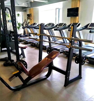 Bench di allenamento funzionale per la pressione toracica Strumento di allenamento della forza della panchina inclinata