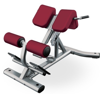 Gym Fitness 45 gradi retro estensione macchina con colore opzionale selezionabile telaio