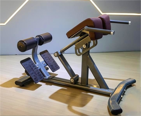 Gym Fitness 45 gradi retro estensione macchina con colore opzionale selezionabile telaio