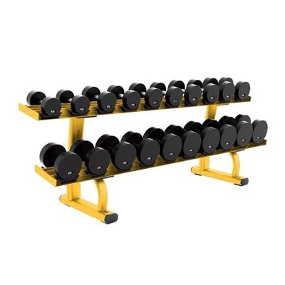 Peso stack 20,6 kg set manubri scaffale per centro di ginnastica Gratis 2 strati set manubri scaffale