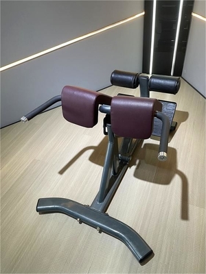 Gym Fitness 45 gradi retro estensione macchina con colore opzionale selezionabile telaio