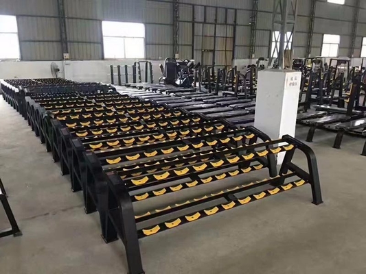 Peso stack 20,6 kg set manubri scaffale per centro di ginnastica Gratis 2 strati set manubri scaffale