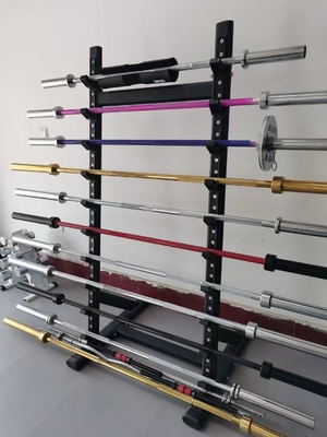 Design EZ Barbell Curl Bar l'aggiunta perfetta al tuo allenamento con pesi liberi in palestra