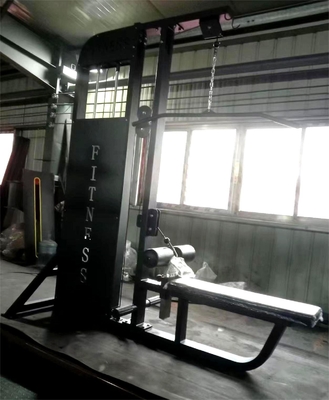Home Gym 2 in 1 Seduta Lat Pulldown Machine con costruzione in acciaio di livello commerciale