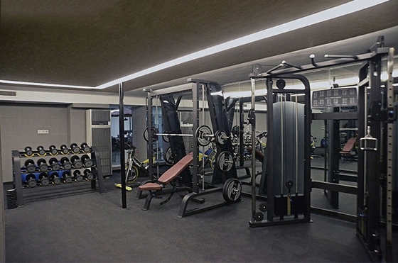 1300*2010*2110mm Cable Crossover Unisex Gym Equipment per l'allenamento multifunzionale